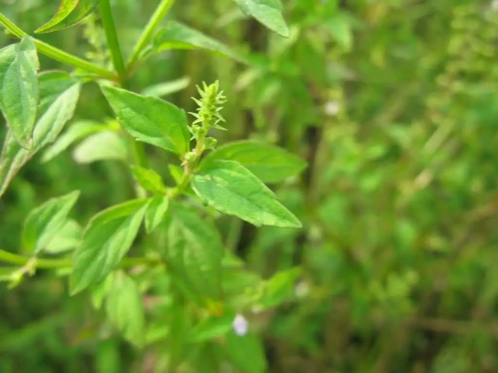 點(diǎn)擊查看源網(wǎng)頁