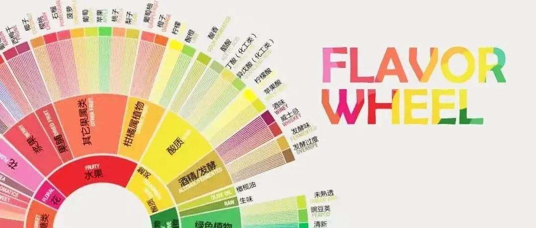 依靠咖啡風(fēng)味輪，真的能喝懂咖啡的風(fēng)味嗎？