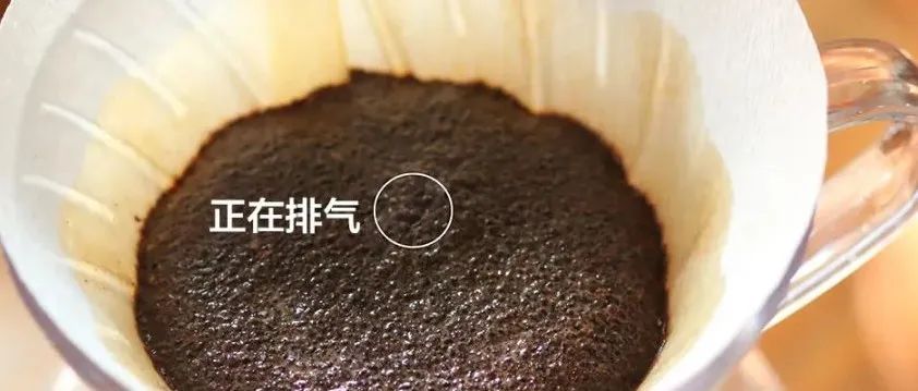 悶蒸階段對于咖啡風(fēng)味有什么影響？