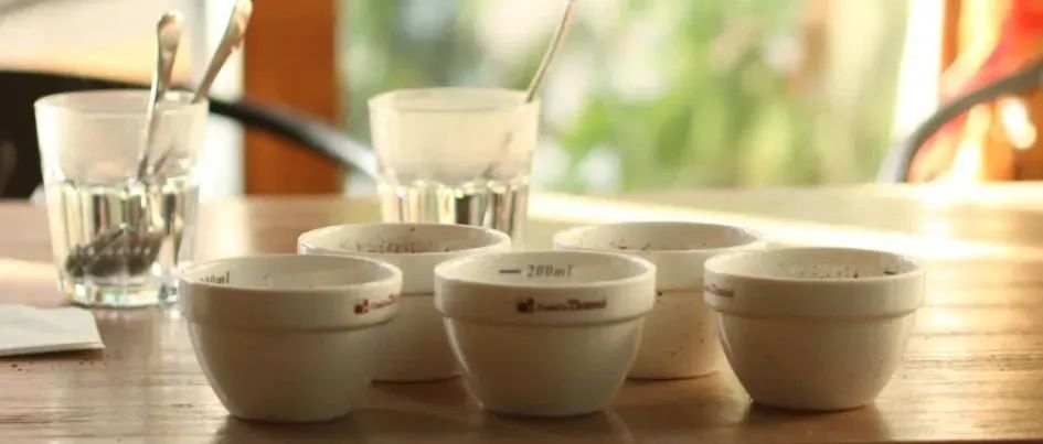 教你如何在家做杯測？咖啡杯測有什么用？