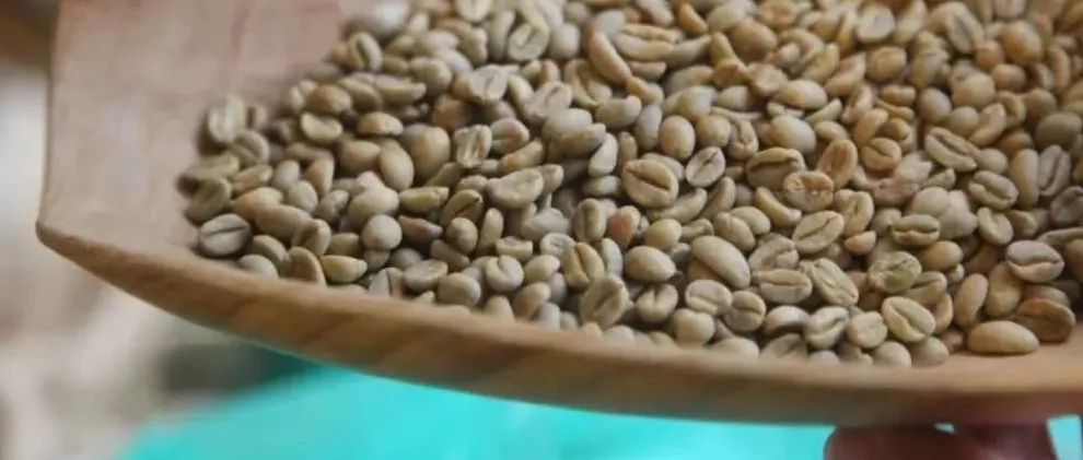 “Heirloom”到底是什么品種？