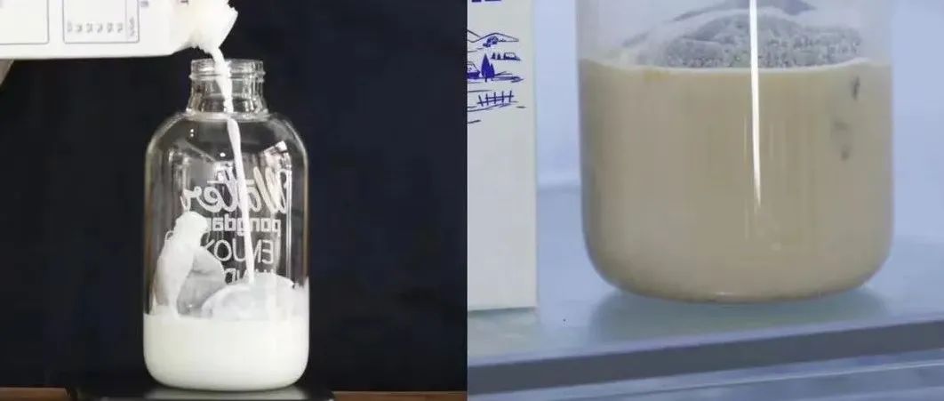 假如用牛奶代替水制作冷萃咖啡是否可行？