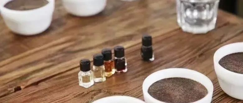 咖啡風(fēng)味是喝出來的還是聞出來的？