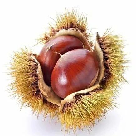 一鍵解惑“栗子醬、栗子泥、栗子......”究竟有何區(qū)別?。ㄒ汛虬た上螺d）